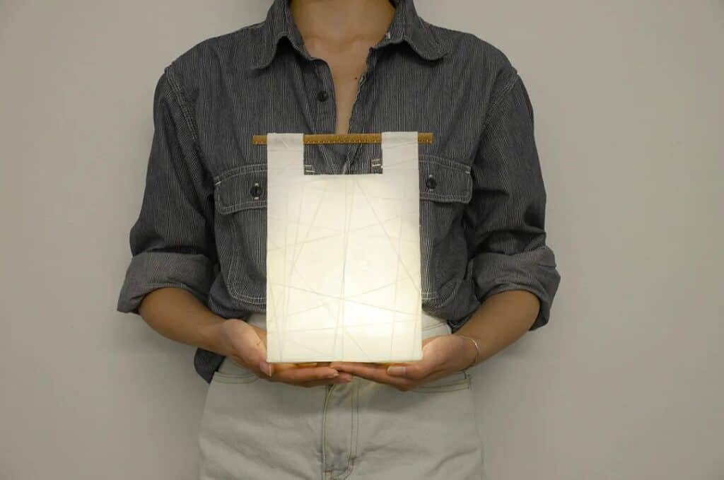 portable light (1)