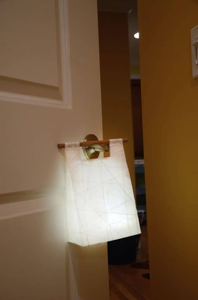 portable light (4)